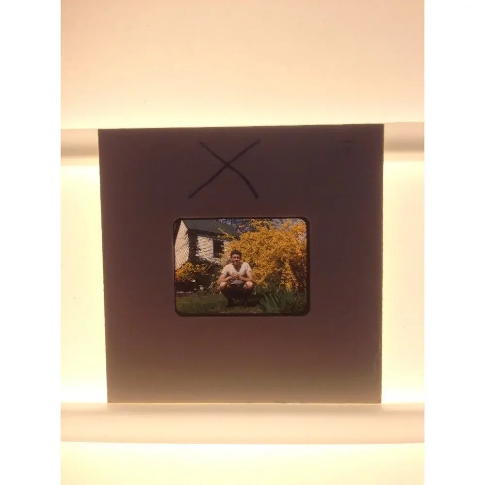 Vintage 1940s Kodachrome Man Yellow Flowers Forsythia Photograph Color Slide